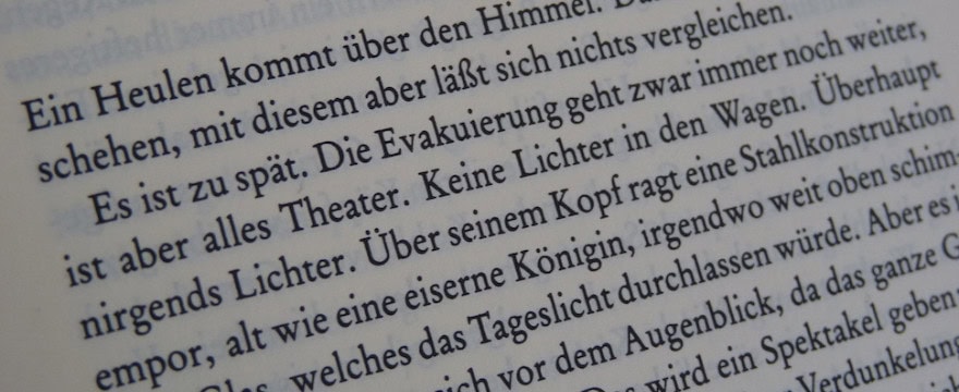 Featured image Jelinek and Pynchon